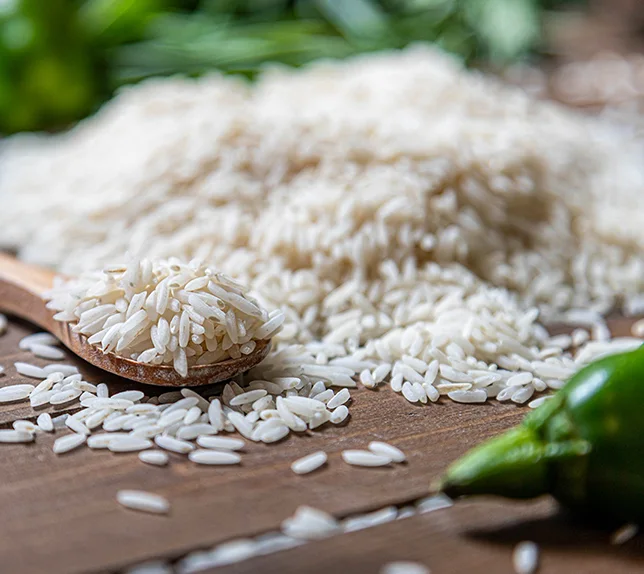 https://shp.aradbranding.com/قیمت خرید برنج شمال درجه یک + فروش ویژه